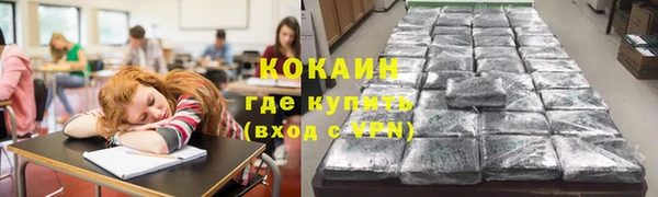 ешки Аркадак